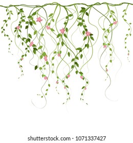 Lianes flowers, leaves. The curtain , vector.