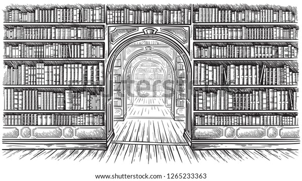 Library Book Shelf Interior Graphic Sketch Stock Vector