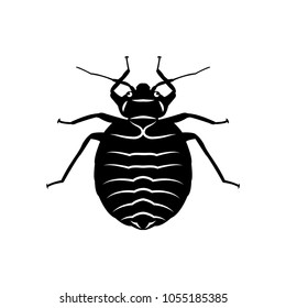 lice graphic design