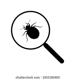lice graphic design