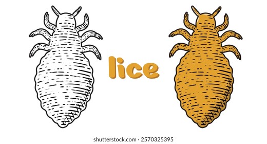 lice hand drawn engrave style vector art icon