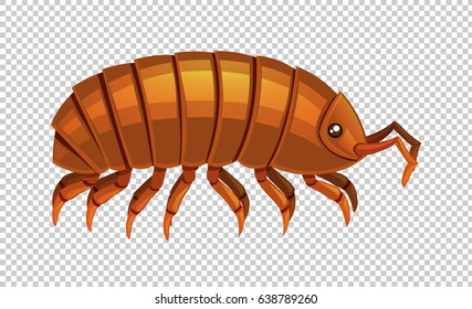 Lice on transparent background illustration