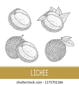 Lichee. Fruit. Slice, whole. Sketch. Set.