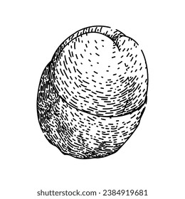 lichee lychees hand drawn. pink fresh, nature red, healthy organic lichee lychees vector sketch. isolated black illustration