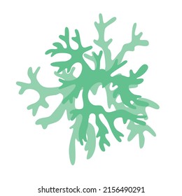 Lichen bush in two colors for logo or illustration