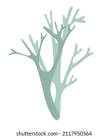 lichen deer moss  on a white background logo icon