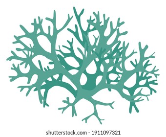 Lichen in different colors silhouette pattern