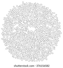 Lichen Form for Design Project - vector illustration