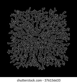 Lichen Form for Design Project - vector illustration