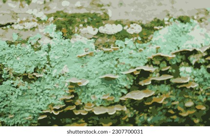 Lichen and fungi on a log