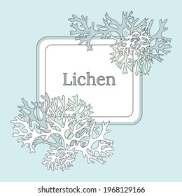 Lichen, moss, decorative graphic element. Botanical vector illustration