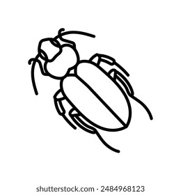 Licinus Silphoides Outline Icon, Vector illustration
