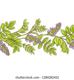 licorice plant vector pattern on white background