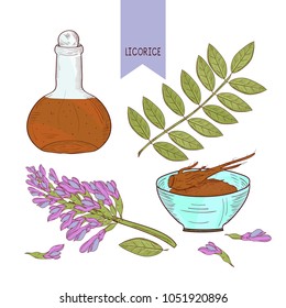 Licorice. Root, flower, leaves. Bottle and bowl. On a white background. Sketch. Set.