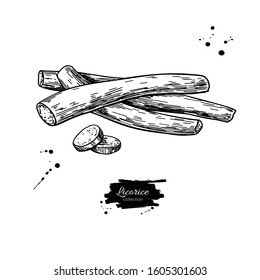 Licorice root vector drawing. Botanical illustration. Herbal engraved style sketch.