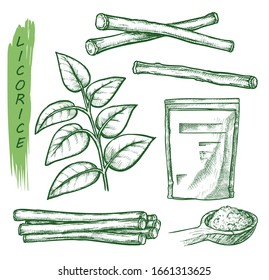 Licorice spice, liquorice root seasonings sketch