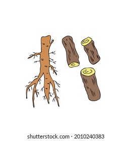 Licorice sticks root set vector hand drawn illustration isolated on white background, ink sketch, decorative herbal colorful doodle, medical herb for design cosmetic, natural medicine, organic food