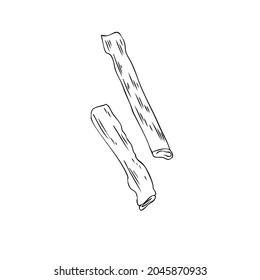 Licorice sticks root vector hand drawn illustration isolated on white background, ink sketch, decorative herbal doodle, medical herb line art for design cosmetic, natural medicine, organic food
