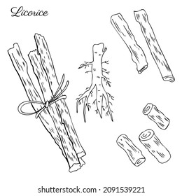 Licorice sticks root vector hand drawn illustration isolated on white background, ink sketch, decorative herbal line art doodle, medical herb for design cosmetic, natural medicine, organic food