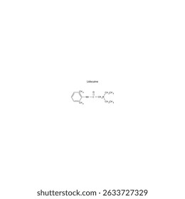 Lidocaine skeletal formula. Simple schematic illustration of local anesthetic drug molecule.