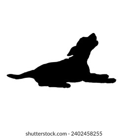  lies puppy Dog silhouette High quality  Breeds Bundle Dogs on the move. Dogs in different poses.
 jumps,  runs. dog is sitting. The dog is lying down. The dog is playing