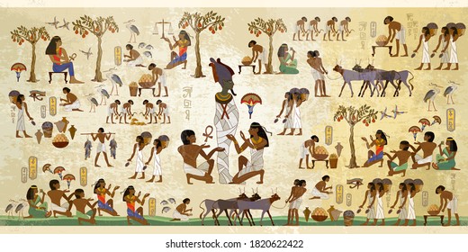 Vida en el antiguo Egipto, frescos. Arte de historia egipcio, tallados jeroglíficos en las paredes exteriores de un antiguo templo. Agricultura, mano de obra, pesca, agricultura