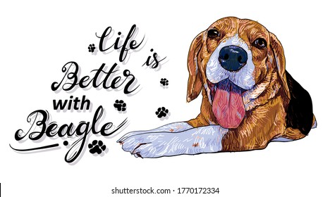 Life is better with a beagle. Dog with text on white background. vector ilustration.