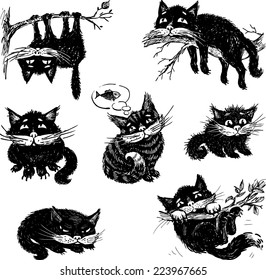 life of the cat