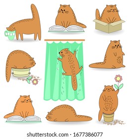 Life Cat Collection. The pet lies, reads, drinks from a cup, sits in a flower pot, climbs along the curtain. The animal is cute and beautiful. Cartoon image. Vector illustration set.