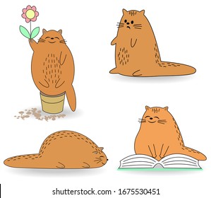 Life Cat Collection. The pet is lying, reading, sitting in a flower pot. The animal is cute and beautiful. Cartoon image. Vector illustration set.