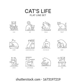 The life of a cat. Linear vector icons. Modern design.The life of a cat. Linear vector icons. Modern design.