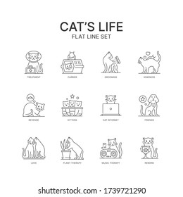 The life of a cat. Linear vector icons. Modern design.The life of a cat. Linear vector icons. Modern design.