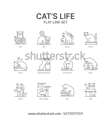 The life of a cat. Linear vector icons. Modern design.The life of a cat. Linear vector icons. Modern design.