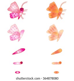 Life cycle of butterfly