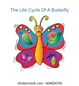 The life cycle of a butterfly 