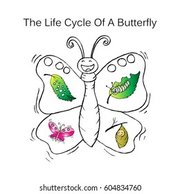 The life cycle of a butterfly 