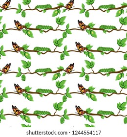 Life cycle of butterfly, metamorphosis seamless pattern. Butterfly, eggs, pupa, caterpillar on tree branch and leaves isolated on white background. Cartoon style vector illustration.