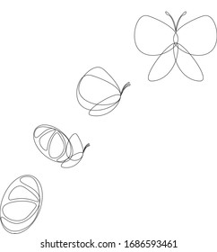 Life Cycle Of Butterfly Outline. Transformation Of Butterfly.