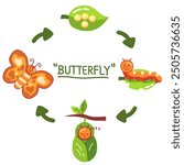 The life cycle of a butterfly starts from egg, larva, pupa, and adult butterfly. In cartoon illustration style. Science concept for children