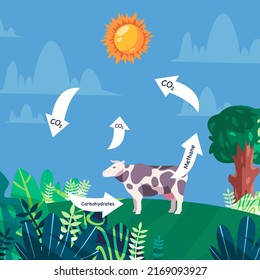 Life cycle of carbon Methane  released by cow gasses emission released vector illustration design