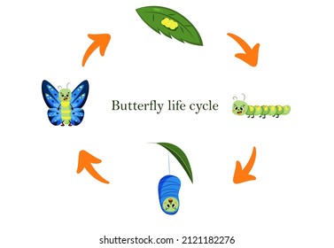 57,137 Metamorphosis Images, Stock Photos & Vectors | Shutterstock