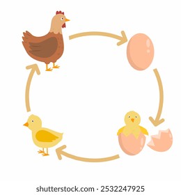 Ciclo de vida de uma ilustração de frango, frango Desenho animado ciclo de vida, galo e galinha 