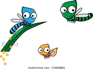 The life cycle of the dragonfly