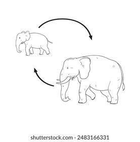 Lebenszyklus Elefant niedliche Cartoon für Kinder Bildung