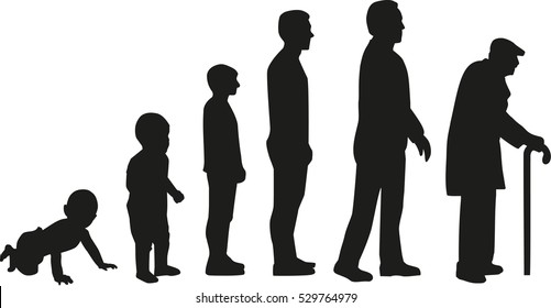 Life cycle evolution - from baby to old man