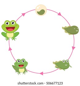 The Life Cycle Of Frog Vector Illustration