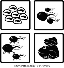 Life cycle of a frog.vector 
