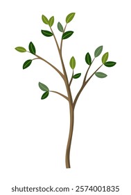 Life cycle of lemon tree. Vector young tree side view isolated on white background for landscape and architecture drawing, elements for environment and garden