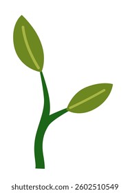 Life cycle of lemon tree. Vector young tree side view isolated on white background for landscape and architecture drawing, elements for environment and garden