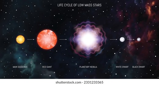 Life cycle of low mass stars. Yellow main sequence dwarf, red giant, planetary nebula, supernova, white dwarf, black dwarf. Evolution of stars astronomy infographic diagram.